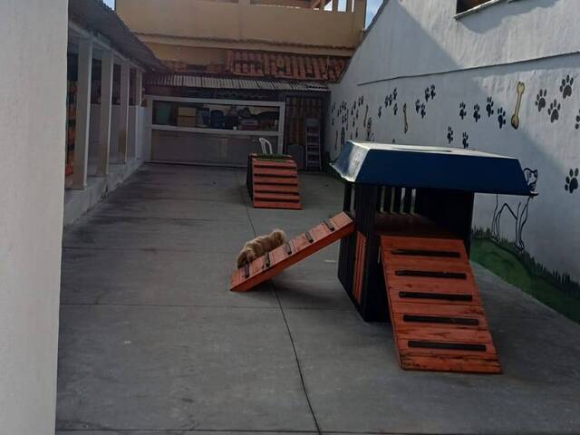 para em - 3